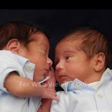 Aiden Herrera (@aiden.herrera.813259) • Facebook