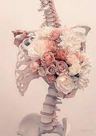 Skeleton Of Roses Spiral Notebook By Maramk Anatomy Art Human Anatomy Art Skeleton Art