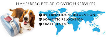 Maybe you would like to learn more about one of these? Hayesberg Pet Relocation Services Videos Facebook