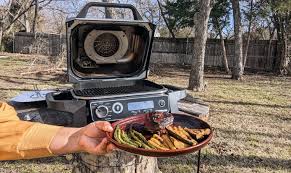 نتیجه جستجوی لغت [grill] در گوگل