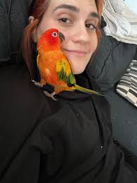 Help find missing dog in Passaic?