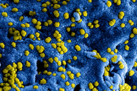 Maybe you would like to learn more about one of these? Coronavirus Versoepeling Coronamaatregelen Bij Dji Nieuwsbericht Dji Nl