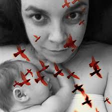 What We're Listening to This Week: A Tribute to Billy Joe Shaver, Jenny  Parrott, Startographers, and more local sounds worth hearing