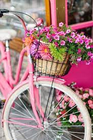 We did not find results for: Pinke Blumen Pinkes Rad Ein Fruhling In Pink Ist Einfach Gleich Doppelt So Schon Pink Bike Pink Bicycle Bicycle