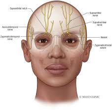 Image result for Forehead Regional Block