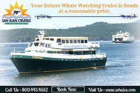 Whale Watching Bellingham Charter Whale Watching Cruise San Juan Cruise Whale Watching