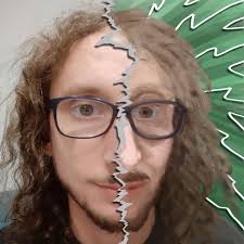 Risks and Biases in AI Development