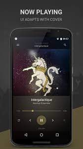 Blackplayer ex 20.60 b394 patched apk + mod for android. Blackplayer For Android Apk Download