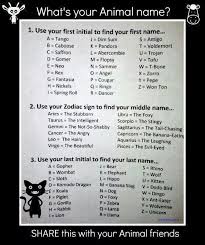 What S Your Name Amigo The Intelligent Piglet Funny Names Names Name Generator