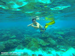 ผลการค้นหารูปภาพสำหรับ มัลดีฟ ใต้น้ำ