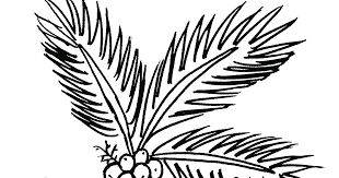 Gambarkan 3 bentuk oval kecil di bagian atas tangkai. Pohon Kelapa Contoh Gambar Mewarnai