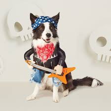 Halloween Rockstar Boy Dog Costume Hyde Eek Boutique