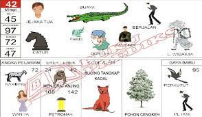 Buku Erek Erek Mimpi Buku Mimpi Kucing