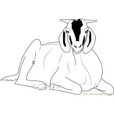 Animals have always intrigued kids. Mountain Goat Coloring Page For Kids Free Goat Printable Coloring Pages Online For Kids Coloringpages101 Com Coloring Pages For Kids