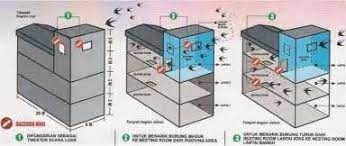 Bagaimanapun saya sedikit yakin yang anda juga rasa seperti yang saya rasa. 25 Rumah Burung Walet Ideas Pet Birds Beautiful Birds Barn Swallow