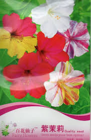 Pemberian nama untuk bunga pukul empat didasarkan pada waktu mekarnya 10. Jual Benih Bunga Pukul Empat Mix 10 Biji B0244 Di Lapak Flowersouv Bukalapak