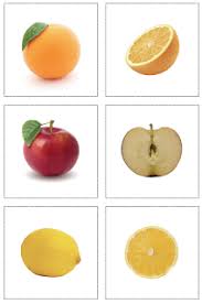 Free Downloads Fruit Montessori Preschool Food