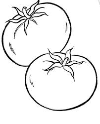 Enter now and choose from the following categories Coloring Pages Of A Tomato