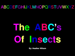 Information and translations of abcdefghijklmnopqrstuvwxyz in the most comprehensive dictionary. Ppt A B C D E F G H I J K L M N O P Q R S T U V W X Y Z Powerpoint Presentation Id 1040868