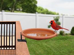 Make your outdoor vision a reality. The Best Bird Bath You Can Buy