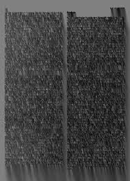 Image result for Trichomanes crispiforme