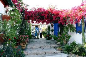 Patios In Cordoba Young Adventuress Urban Garden Cordoba Cordoba Spain