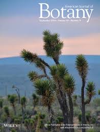 Image result for Vigna multinervis