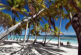 Every bungalow comes with a terrace, a. Shopping In Guadeloupe For Authentic Products Outlets Shopping Malls And Boutiques