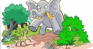 23+ gambar gajah kartun berwarna, paling dicari! Dongeng Kancil Dan Gajah Cerita Fabel Anak Popmama Com