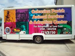 So rather than buying a dog or puppy for sale from a dog breeder or buying a cat or kitten for sale from a cat breeder, we encourage people to adopt a dog, adopt a cat, adopt a puppy or adopt a kitten at their local animal shelter, spca, humane society or pet rescue group. Programs And Services Calcasieu Parish Police Jury La