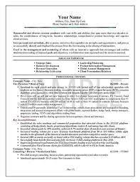 Executive Sales Resume Summary Examples Sales Resume Resume Summary