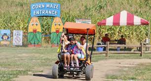 Pin On Places To Visit Great Pumpkin Festival