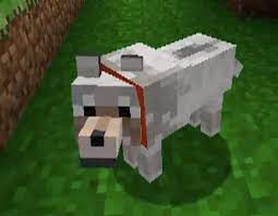 On Killing Virtual Dogs Huenemanniac