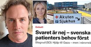 Replik till Stegrud (SD): Cynism och ovärdigt ett civiliserat land som vårt