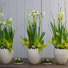 Full information about flowers & gifts by brenda in peterborough, ontario, canada: Burghley Flower Centre Order Online Or 01733 358372