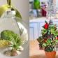 Living Holiday Creations: Succulent Tree + Air event image