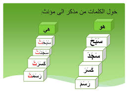 كلمه couleur مؤنث ولا مذكر. Ppt Ø­ Ùˆ Ù„ Ø§Ù„ÙƒÙ„Ù…Ø§Øª Ù…Ù† Ù…Ø°ÙƒØ± Ø§Ù„Ù‰ Ù…Ø¤Ù†Ø« Powerpoint Presentation Id 4238261