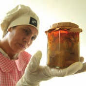 Un mundo en el cual el ser humano se desarrolle en armonía con la  naturaleza A world in which human beings can develop in harmo