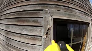 We did not find results for: New Bug A Salt Gun Test Review Shoots Flies With Table Salt Fly Killing Weapon Youtube