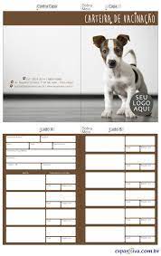 O documento será bilingue, em inglês e no idioma de residência do cidadão, emitido gratuitamente em papel e com uma versão digital. Carteira De Vacinacao Para Veterinarios M22924 Grafica Expanssiva