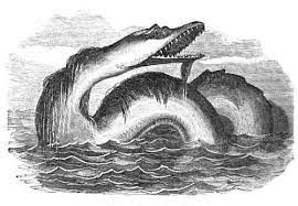 Tea And Skeletons Mysterious Universe Monster Sea Monsters