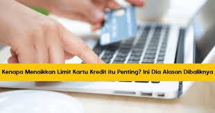 Untuk mengetahui sisa limit kartu kredit bank mandiri yang paling update adalah melalui aplikasi mandiri online dan lewat call center bank mandiri. Kenapa Menaikkan Limit Kartu Kredit Itu Penting Ini Dia Alasan Dibaliknya