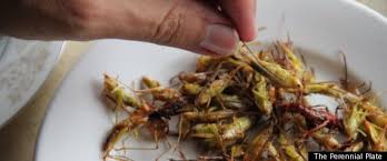 Watch A Lavish Insect Feast And Why We Should Eat Bugs Eating Insects Eat Food