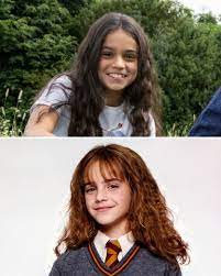 Meet the new Harry Potter, Hermione Granger and Ron Weasley. HBO's "Harry  Potter" television series has officially cast its leading roles with  Dominic McLaughlin as Harry, Arabella Stanton as Hermione, and Alastair