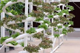 Vertical hydroponic gardens like the foody make it possible to keep a productive garden in your own home. 6 Best Vertical Hydroponic Systems On The Market Today Buyers Guide