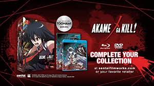 The assassin group known as night raid recruits the young man to h. Akame Ga Kill Tv Series 2014 Imdb