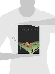 Image result for Arachniodes webbiana