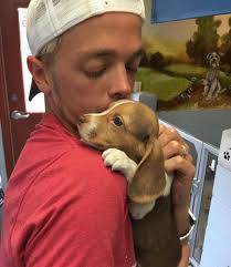 It's our sweet precious Clark's GOTCHA DAY! We made the decision to add  Clark to our family in 2016 after getting a call from @brawashelter about a  new delivery of Beagle puppies.