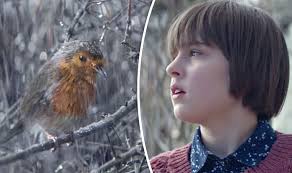 Waitrose Christmas advert 2016: Young robin makes epic journey home in  emotional offering