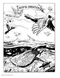 See more of birds around the world: Action Bible Coloring Book 9780830775903 Christianbook Com